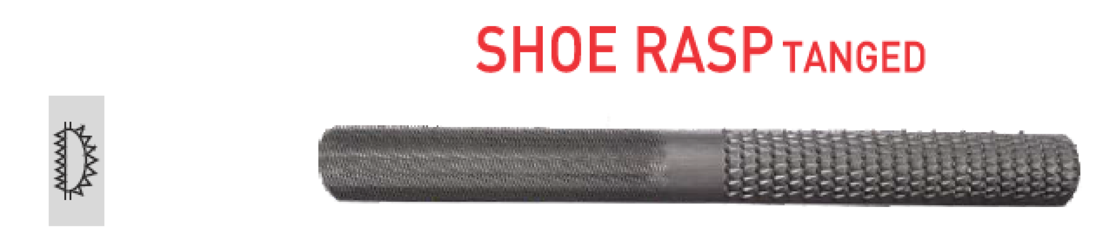 rasp files - shoe rasp tanged
